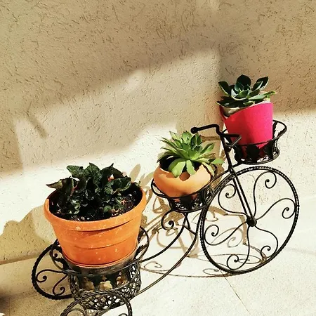 Comfort With Garage Aria Apartamento *